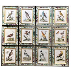 George Edwards Set of Twelve Engravings of Birds, circa 1740-1760