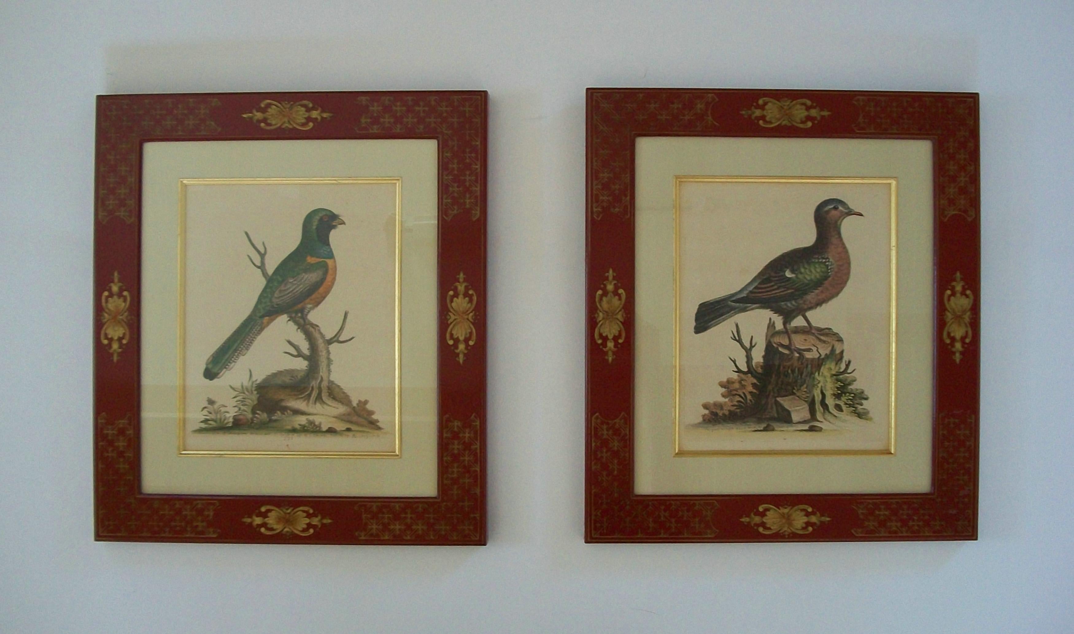GEORGE EDWARDS (Naturforscher, Ornithologe und Künstler 1694-1773) - 'A Natural History of Uncommon Birds' (veröffentlicht in mehreren Bänden zwischen 1743 und 1764) - Antikes Paar aufwendig gerahmter ornithologischer handkolorierter Kupferstiche