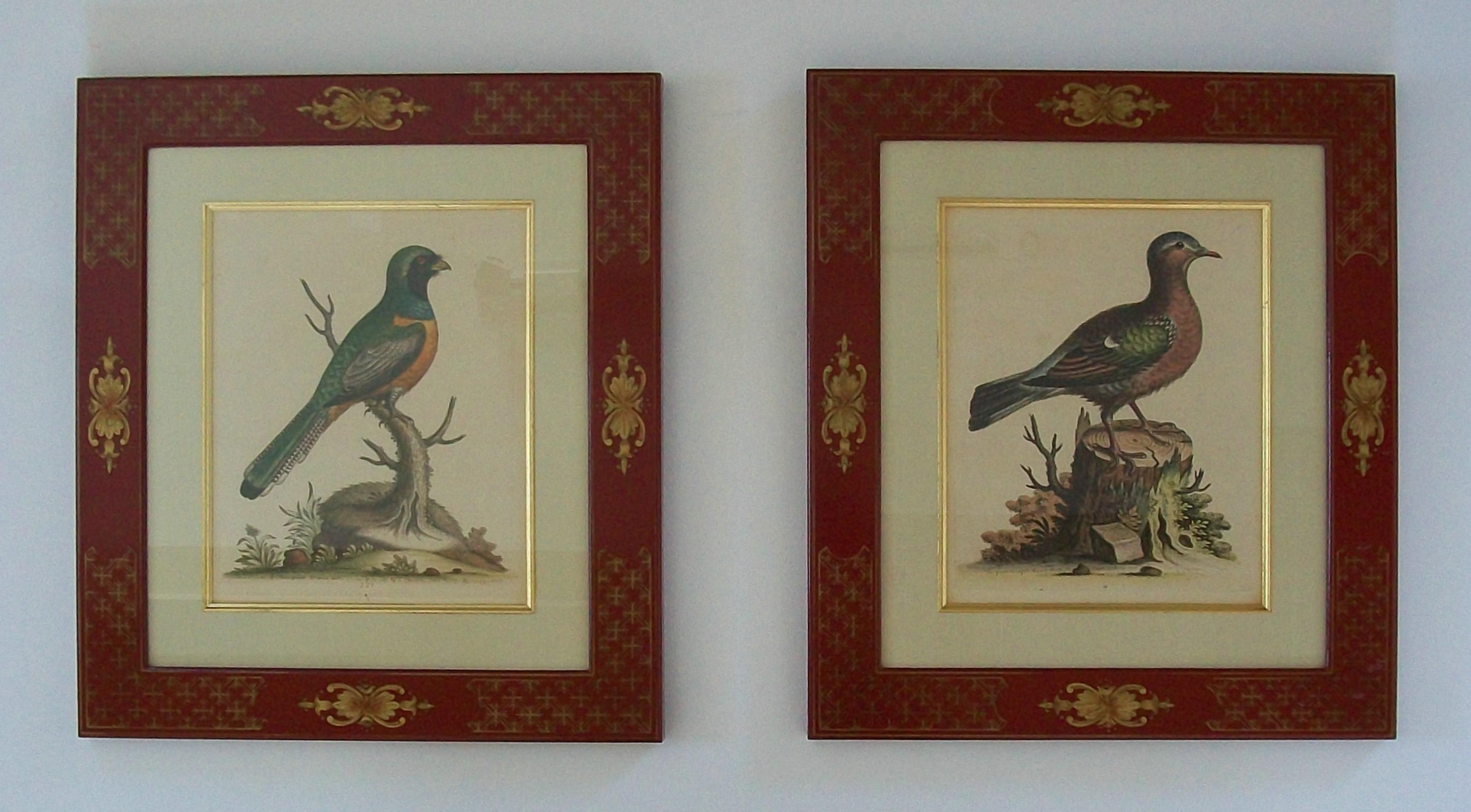 GEORGE EDWARDS - Zwei handkolorierte ornithologische Kupferstiche - C.K. - 1741-1759 (Georgian) im Angebot