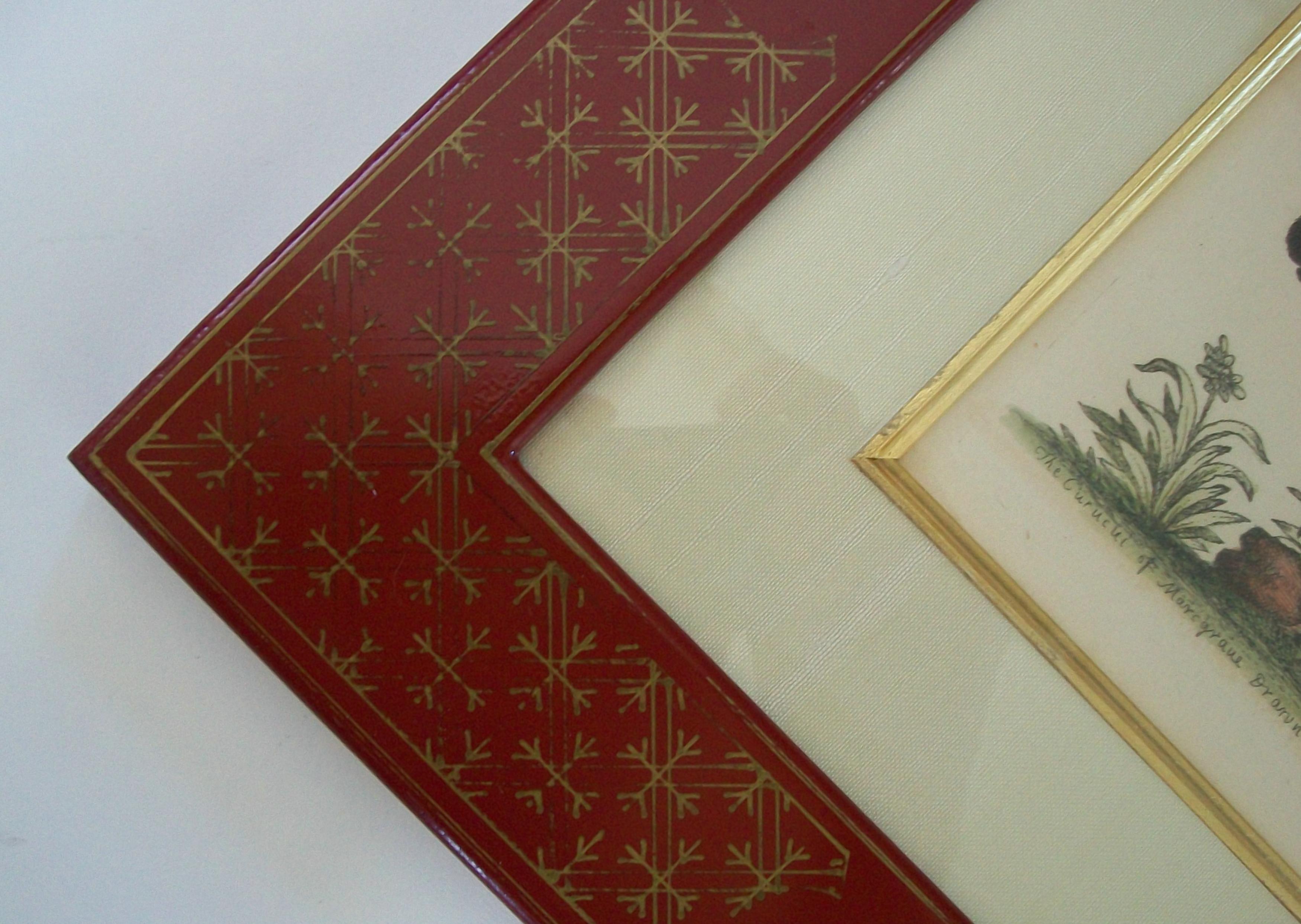 GEORGE EDWARDS - Zwei handkolorierte ornithologische Kupferstiche - C.K. - 1741-1759 (18. Jahrhundert) im Angebot