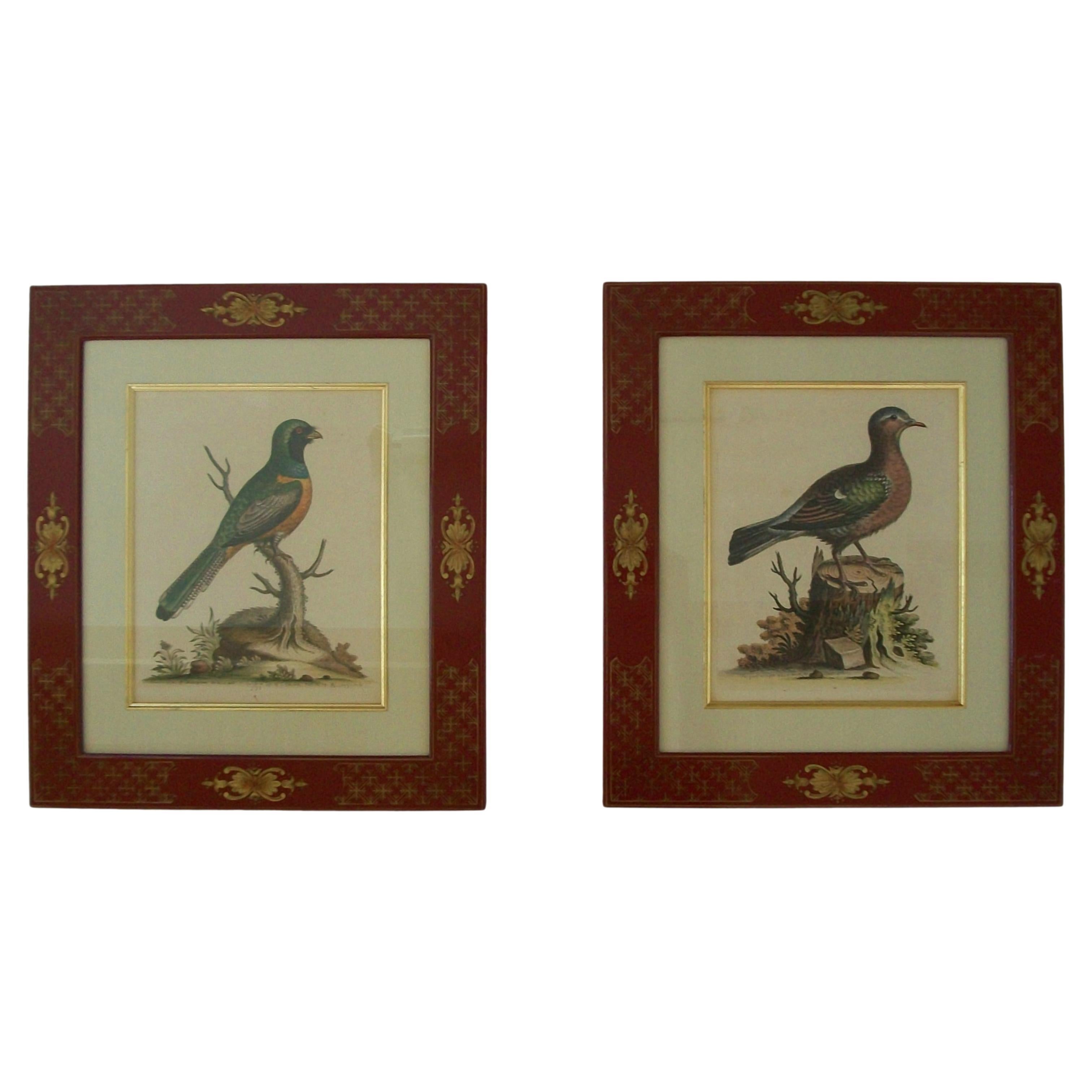 GEORGE EDWARDS - Zwei handkolorierte ornithologische Kupferstiche - C.K. - 1741-1759 im Angebot