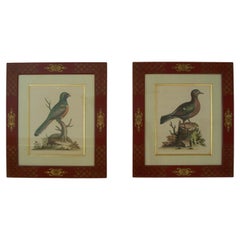 Prints