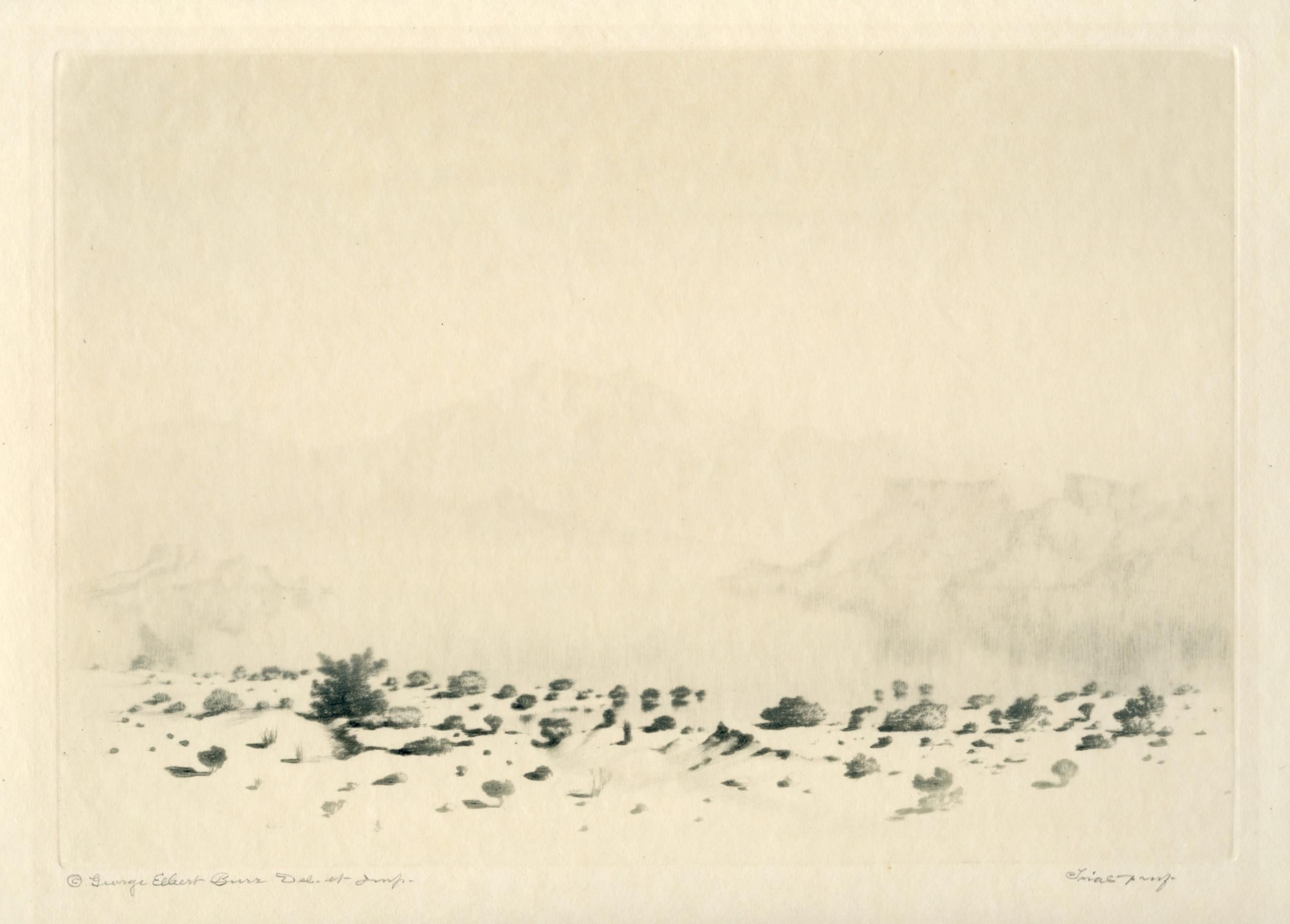 "A Mirage" signed etching / drypoint, trial proof - Print by George Elbert Burr