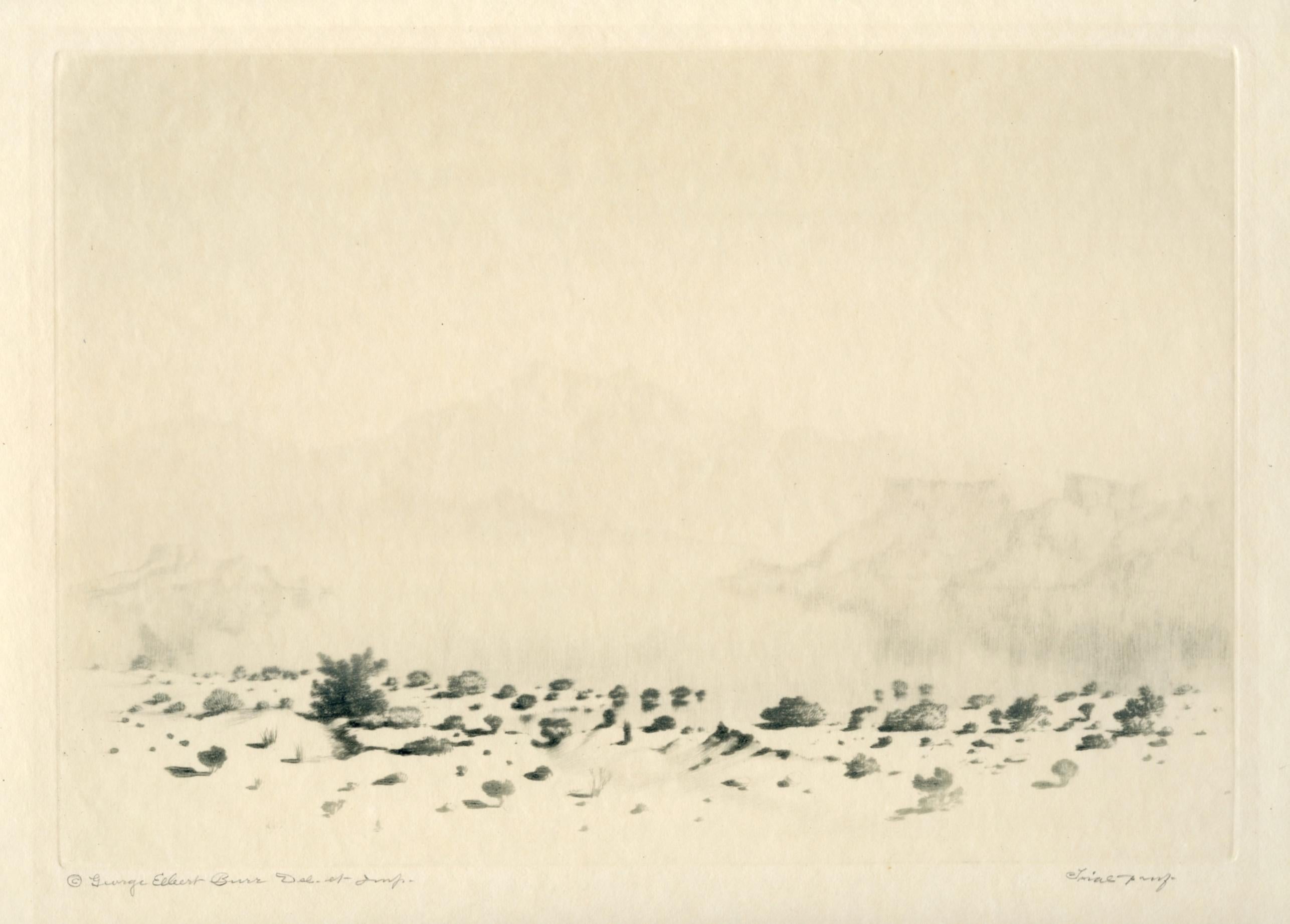 "A Mirage" gravure / pointe sèche signée (épreuve d'essai) - Print de George Elbert Burr