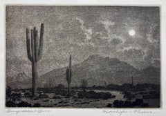 Moonlight Phoenix