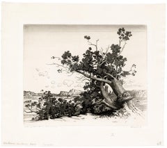 'Old Cedars' – Early New Mexico Landscape, Southwest Regionalism