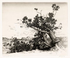 'Vecchi cedri' - Paesaggio del primo New Mexico, regionalismo del sud-ovest