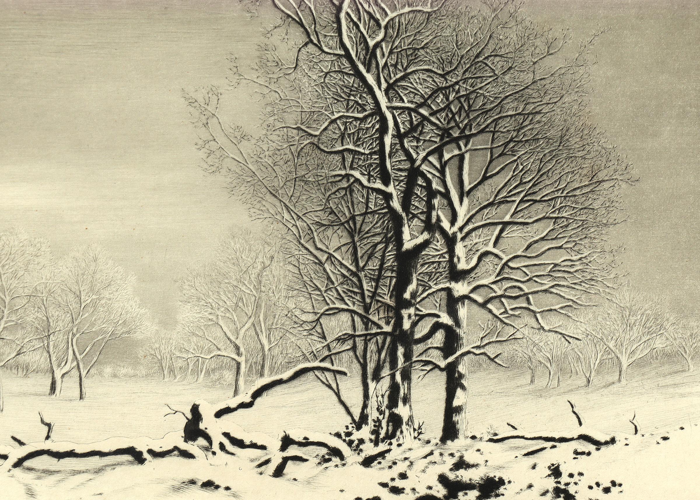 Original signed lithograph print signed by George Elbert Burr (1859-1939) of a winter landscape with snow and trees. Presented in a custom frame with archival materials measuring 15 x 17 ¾ inches. Image size measures 7 ¼ x 10 ¼ inches.


About the