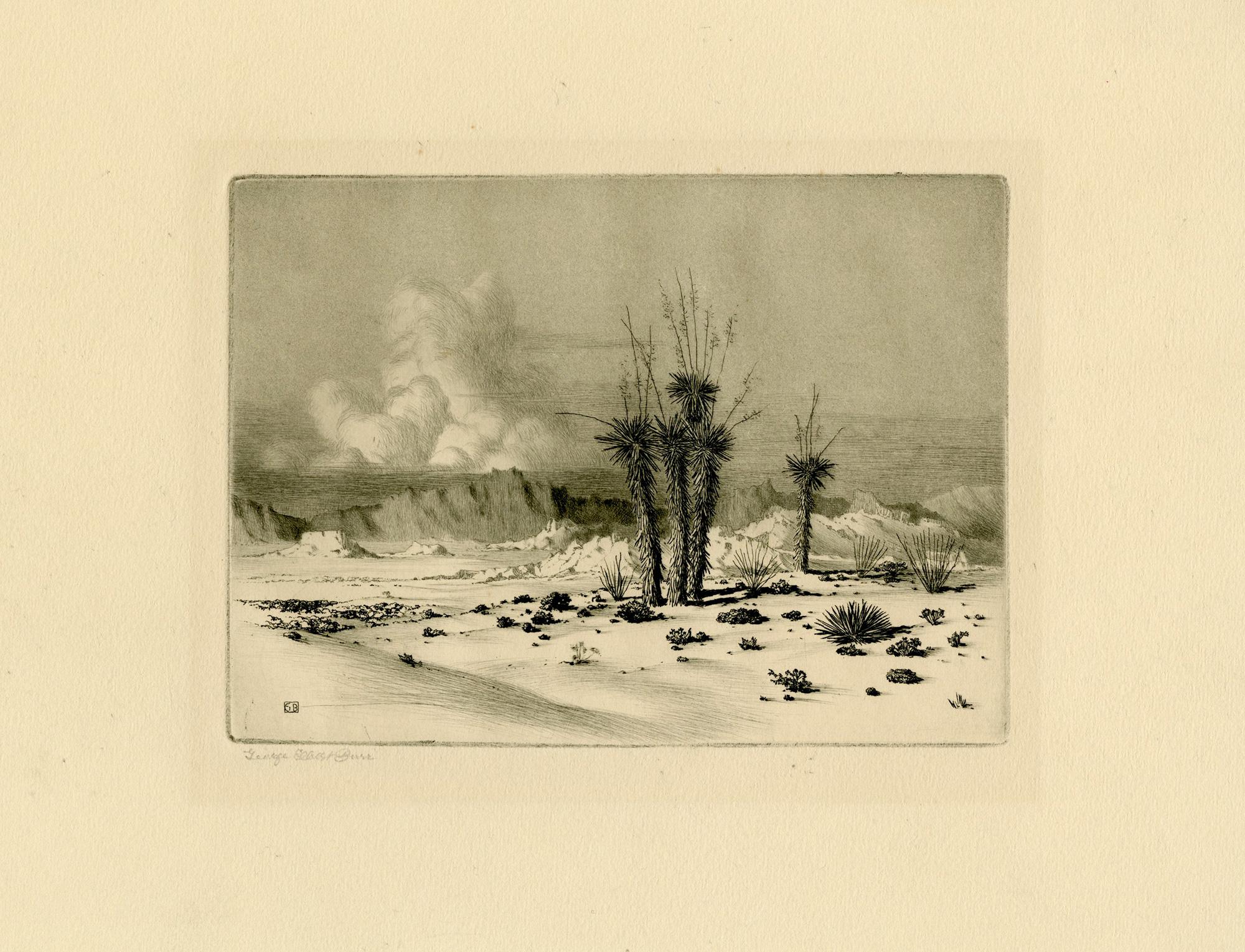 Palo Verde Trees - Print by George Elbert Burr