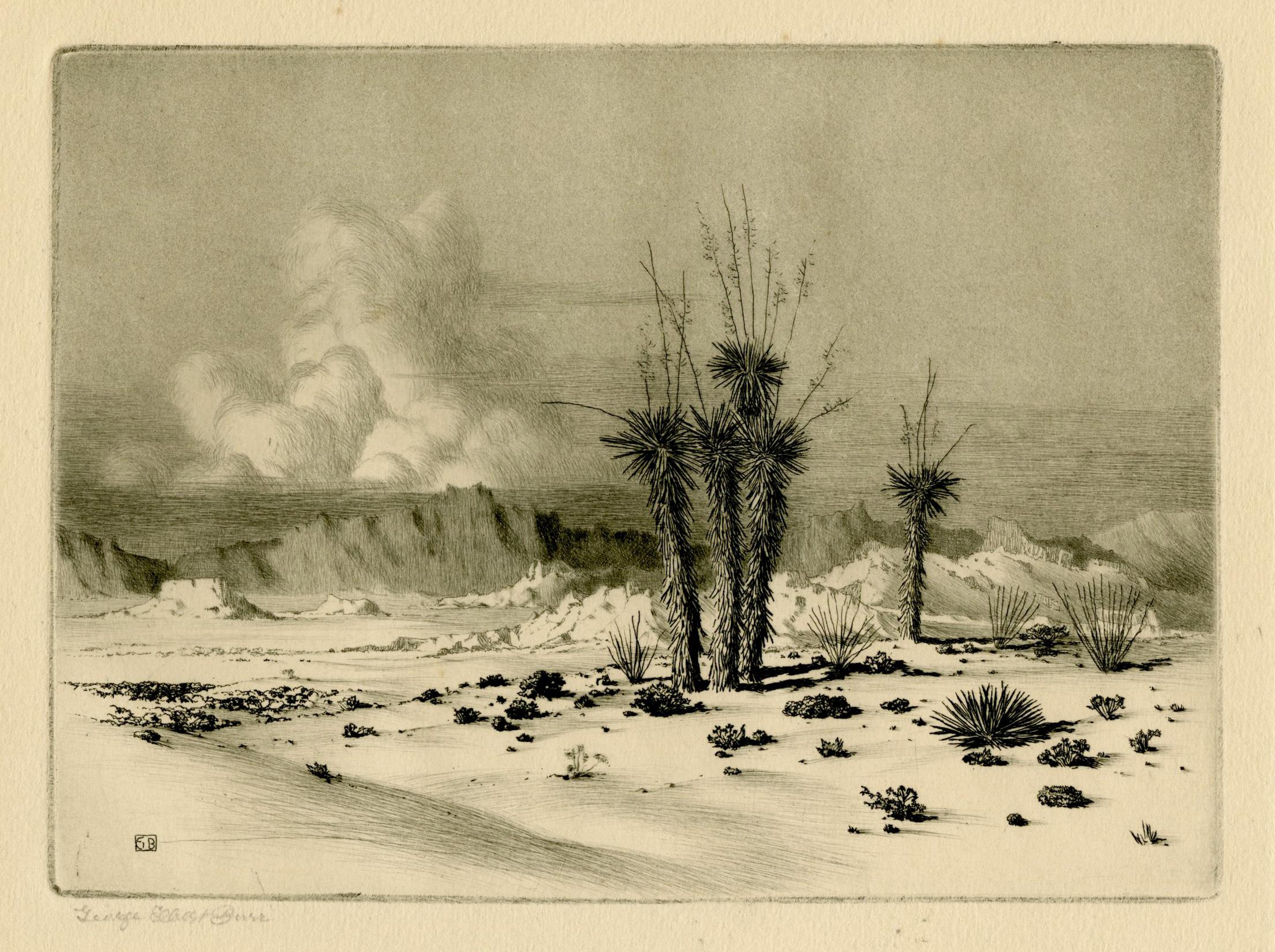 George Elbert Burr Landscape Print - Palo Verde Trees