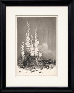 Soapweed, Arizona (no. 2); edition of 40 (original etching from the Desert Set)