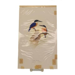 George F Sandstrom Watercolor Bird Study Farguharis Ornithological Illustration