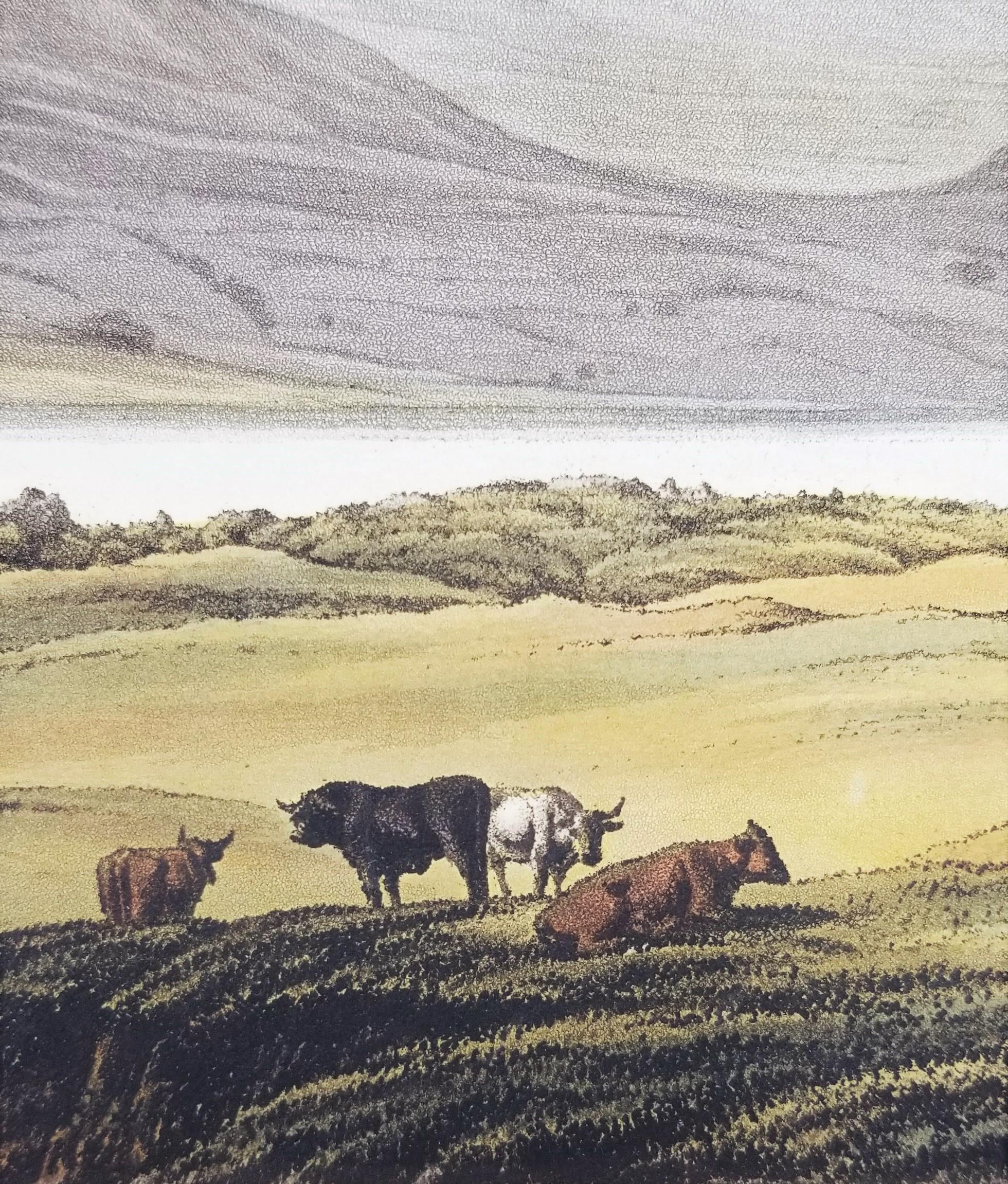 Ben Lawers /// George Fennell Robson Antike schottische Landschaftsgravur-Szene im Angebot 11