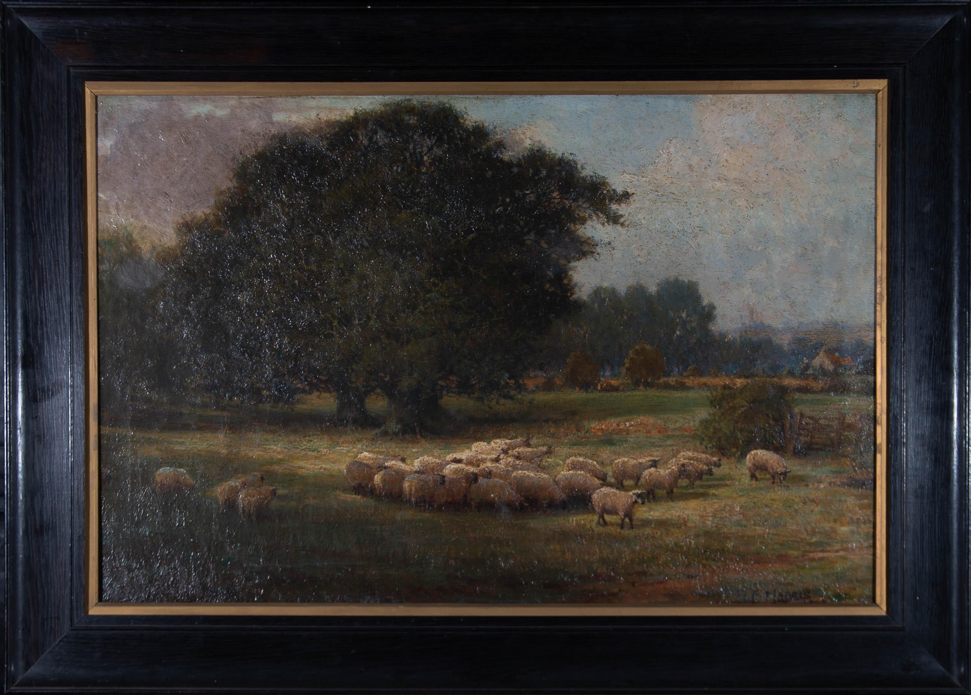 An idyllic pastoral scene depicting a flock of sheep grazing beside large oak trees. An exquisite light falls upon the delicately observed and characterful animals, while a couple of red-roofed buildings can be seen in the distance with further