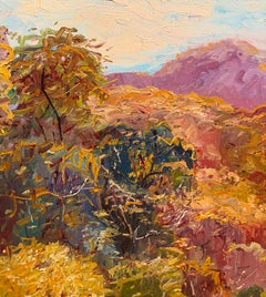 Parque Estatal de Malibu Canyon