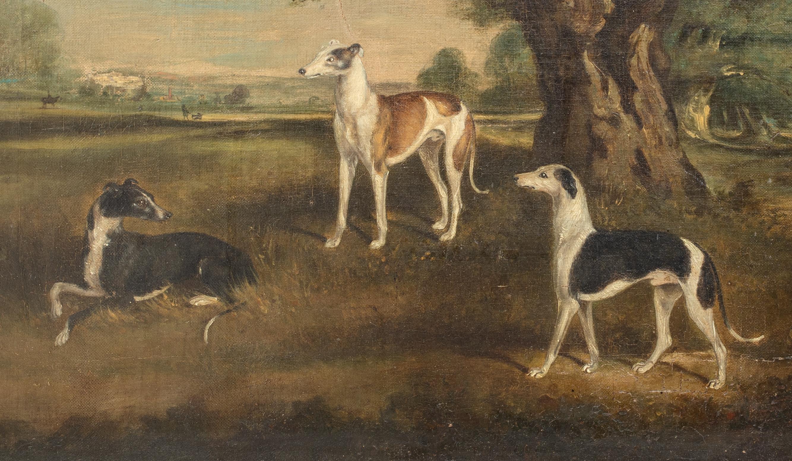 The Favourites Of The Earl Of Orford - 3 Greyhounds In A Landscape 18th Century For Sale 7