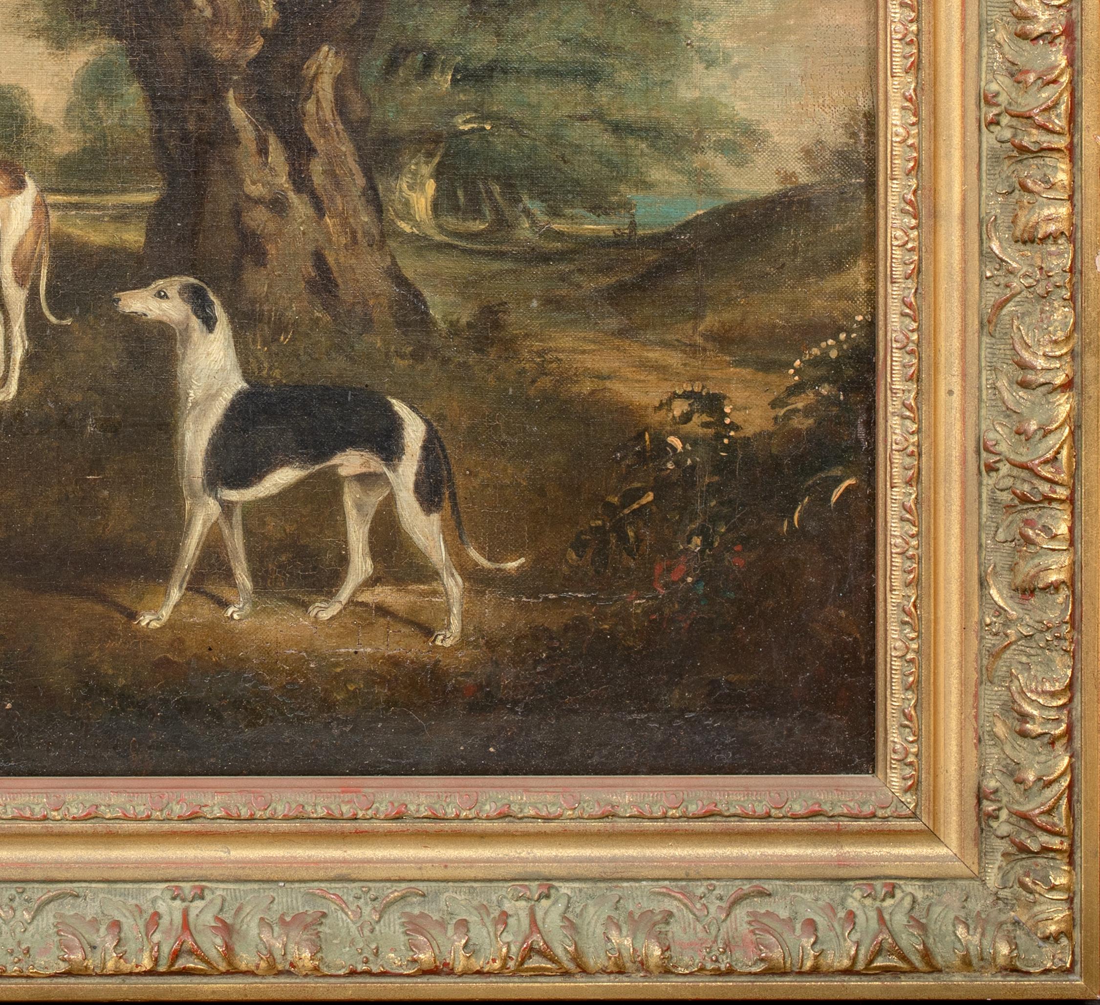 The Favourites Of The Earl Of Orford - 3 Greyhounds In A Landscape 18th Century For Sale 1