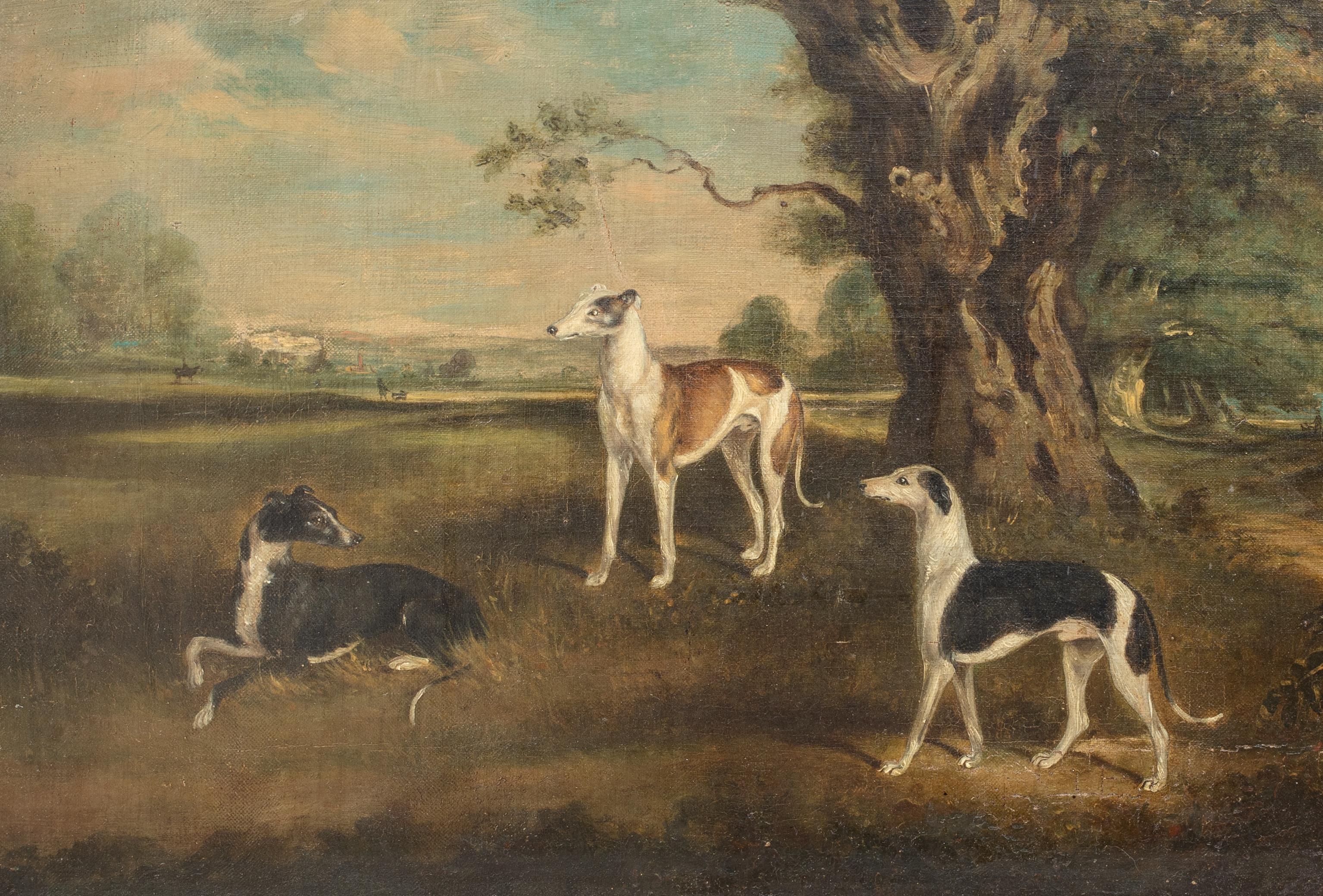 The Favourites Of The Earl Of Orford - 3 Greyhounds In A Landscape 18th Century For Sale 2