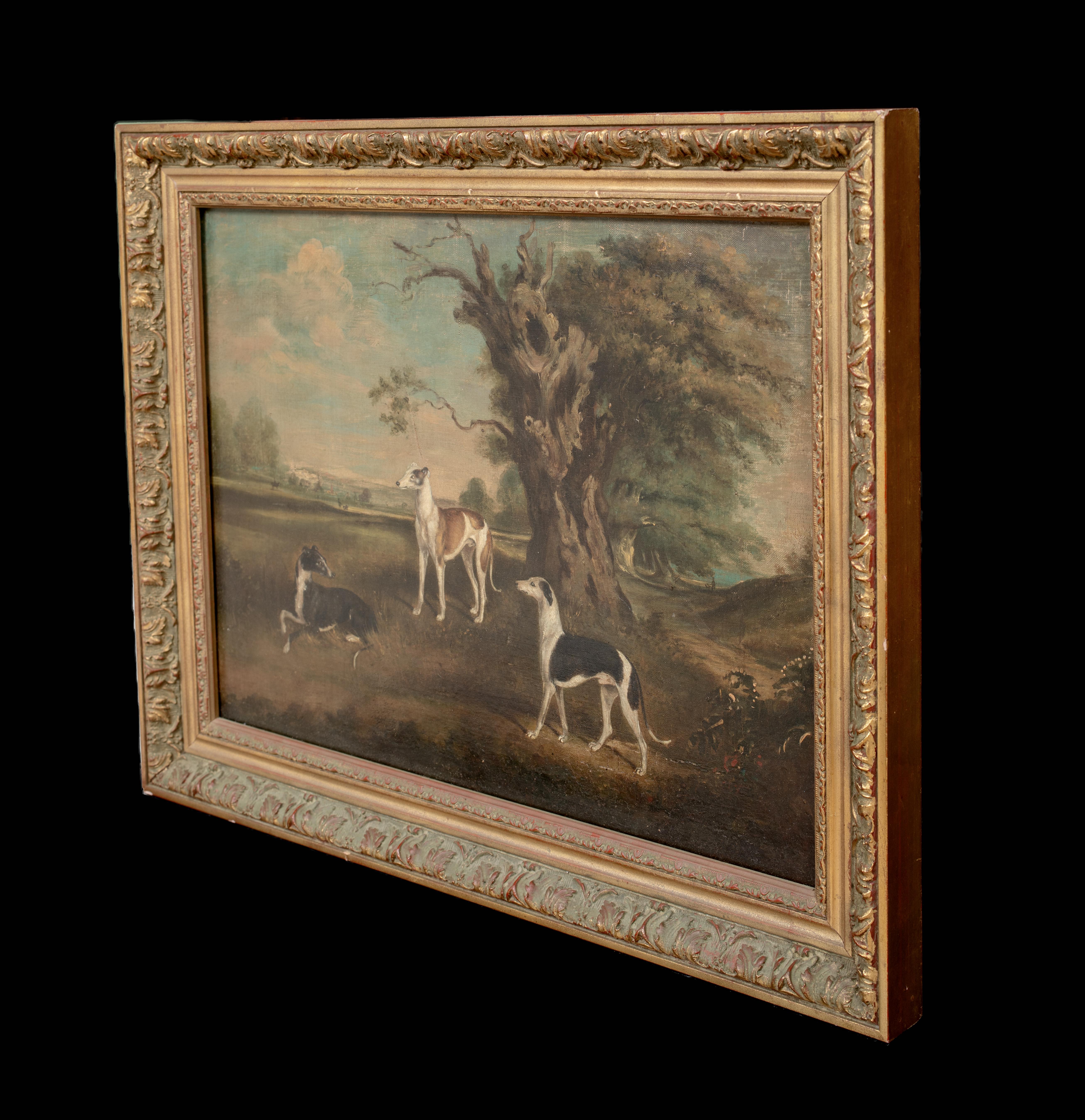 The Favourites Of The Earl Of Orford - 3 Greyhounds In A Landscape 18th Century For Sale 5