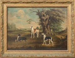 Les favoris du comte d'Orford - 3 lévriers dans un paysage du 18e siècle