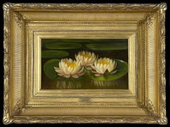Water Lilies