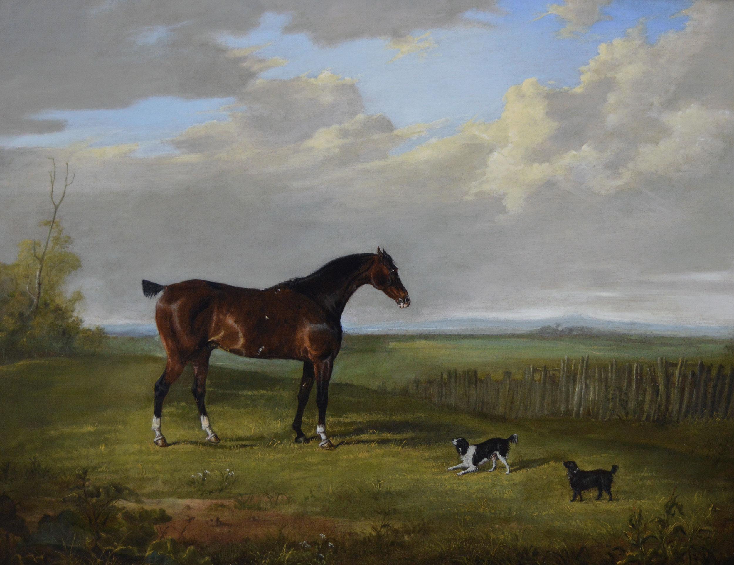 Portrait à l'huile d'un cheval de course avec épagneuls du 19e siècle - Painting de George Henry Laporte