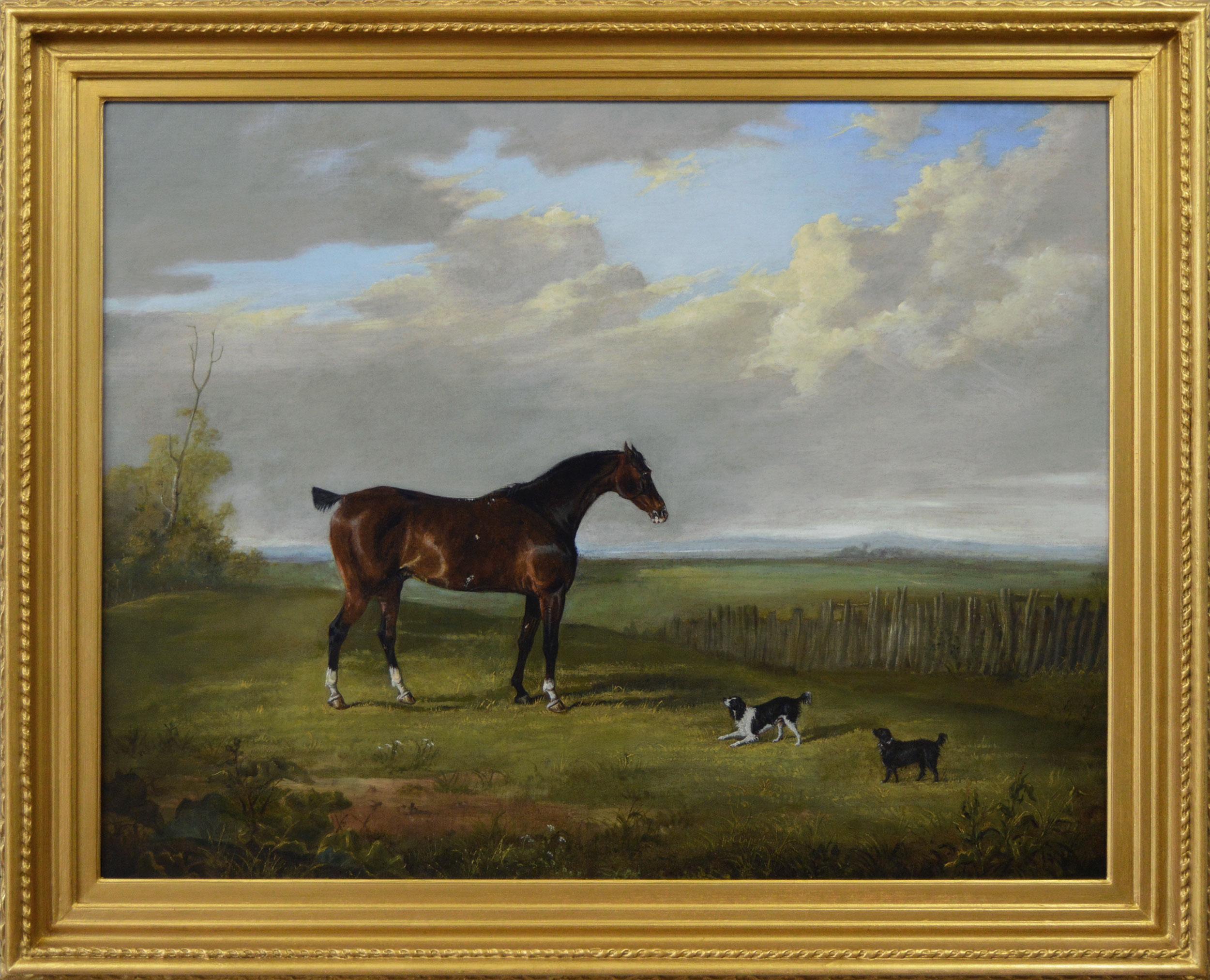 George Henry Laporte Landscape Painting - 19th Century sporting horse portrait oil painting of a racehorse with spaniels