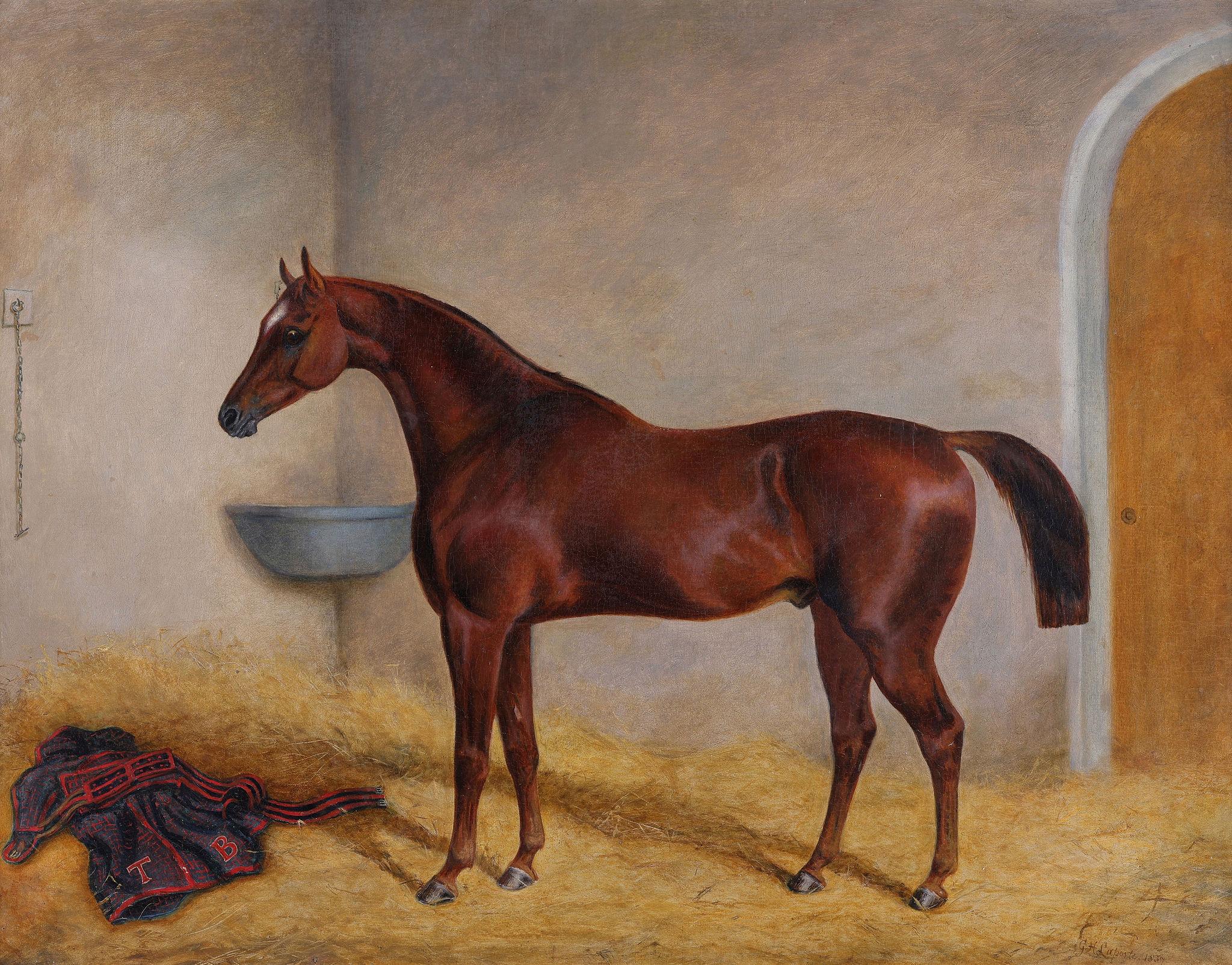 „A Bay Hunter in a Stable“ von – Painting von George Henry Laporte