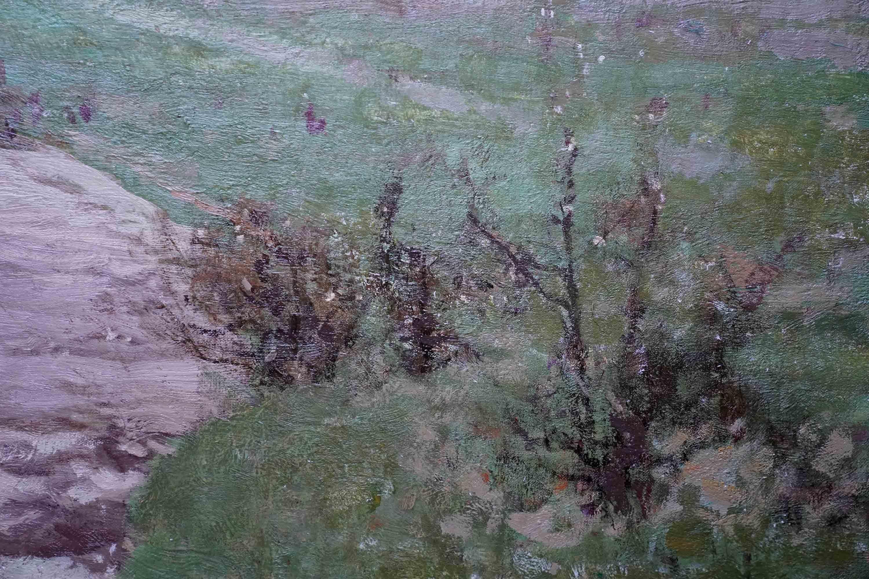 Spring, River Ayr – schottisches impressionistisches Kunstlandschaftsgemälde in Öl, Schottland im Angebot 1