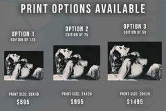 Rita Hayworth: The Great American Love Goddess Fine Art Print