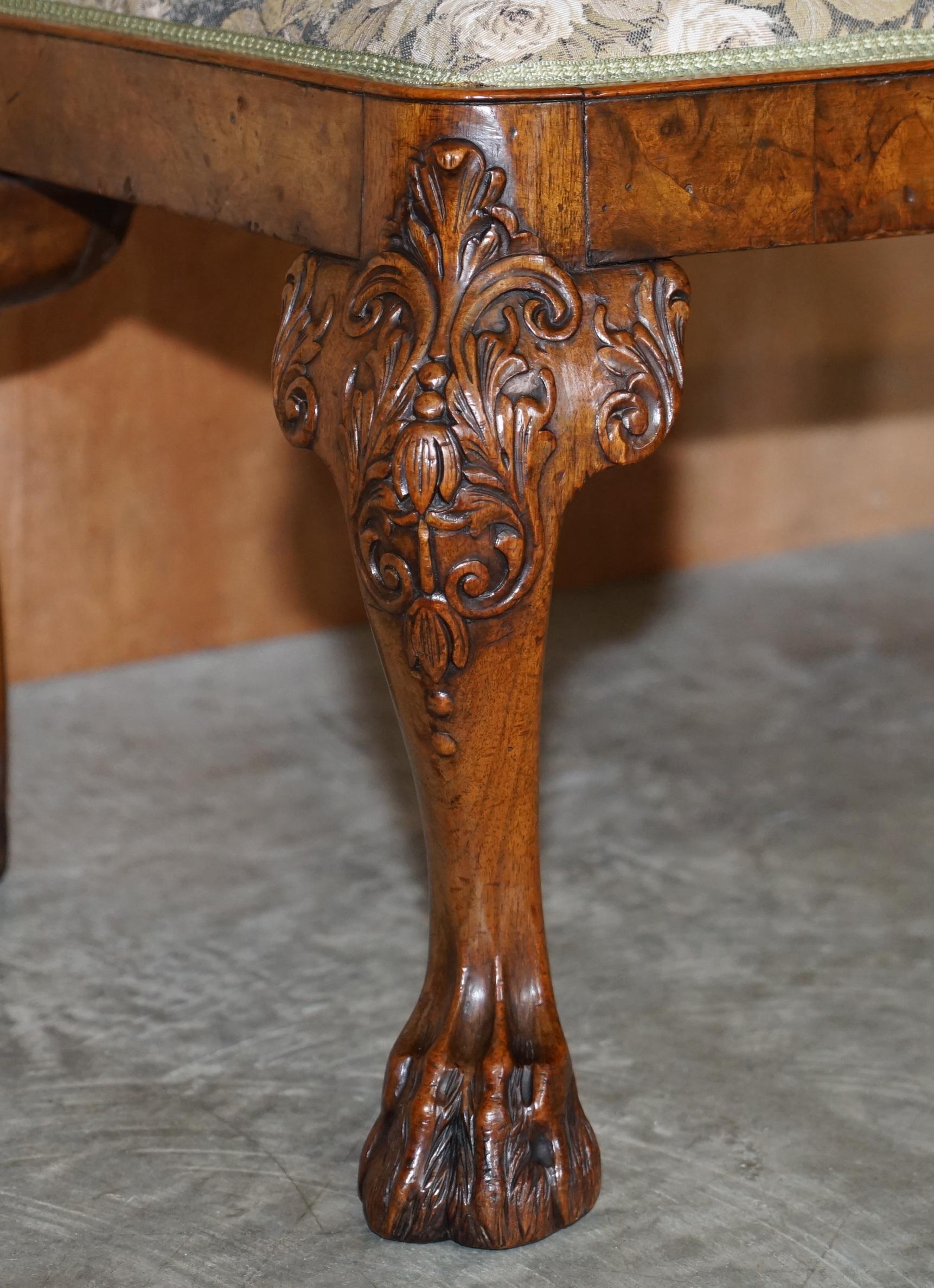 Hand-Crafted George I circa 1720 Burr Walnut Long Stool Ornately Carved Lion Hairy Paw Feet For Sale