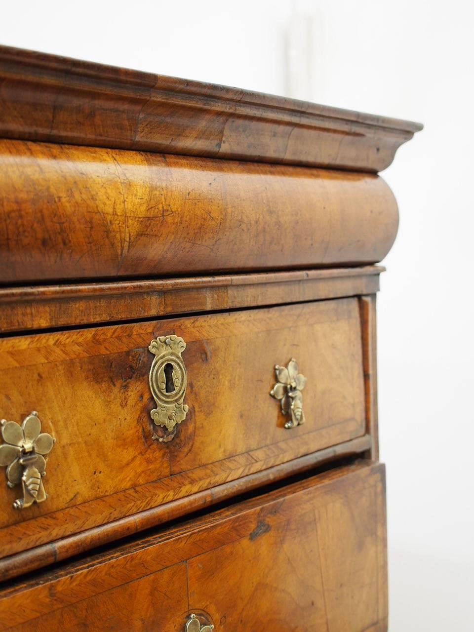 George I Walnut Chest of Drawers 10