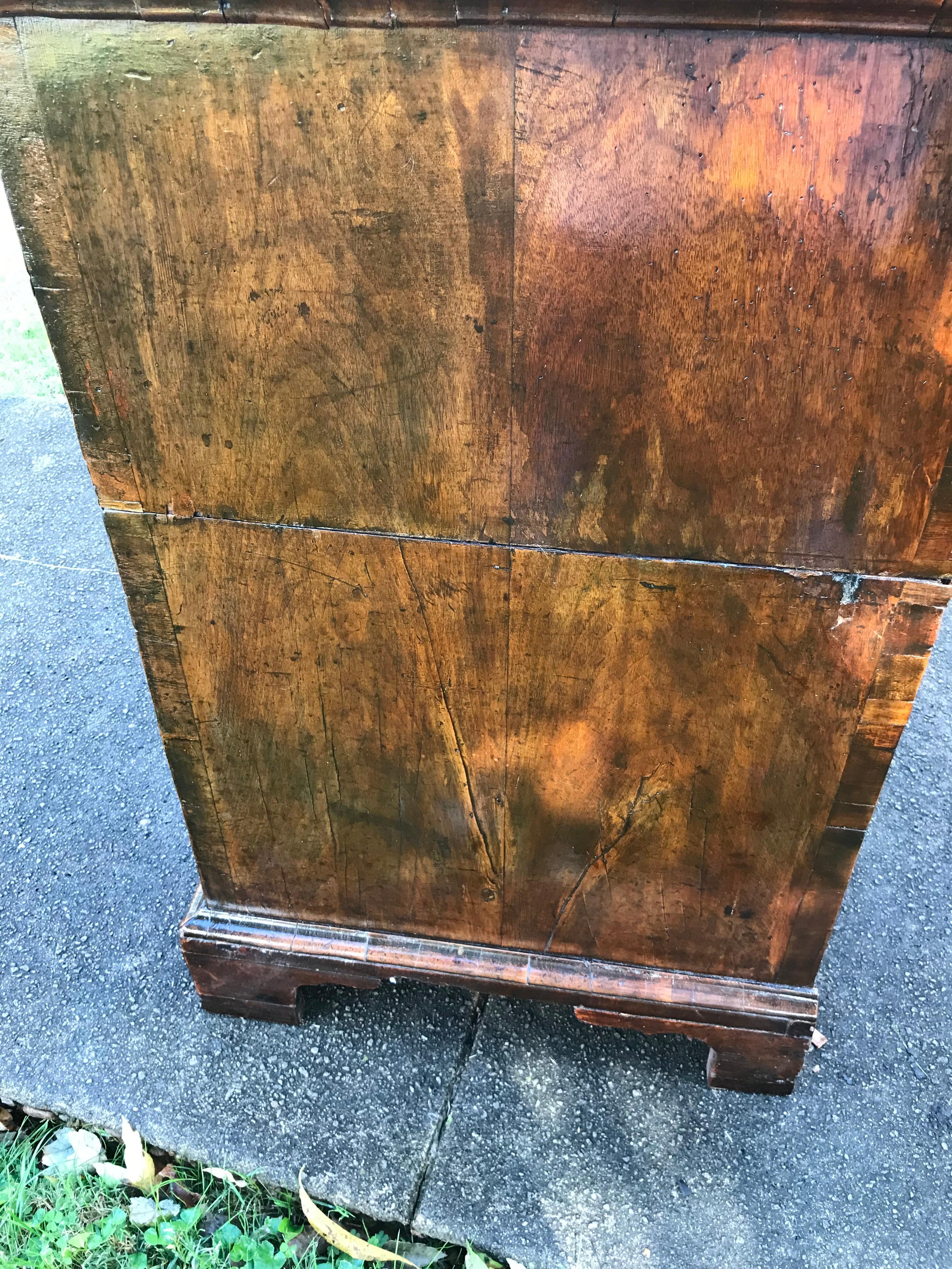 George II Burl Walnut Chest with Two Short Over Three Long Drawers 7