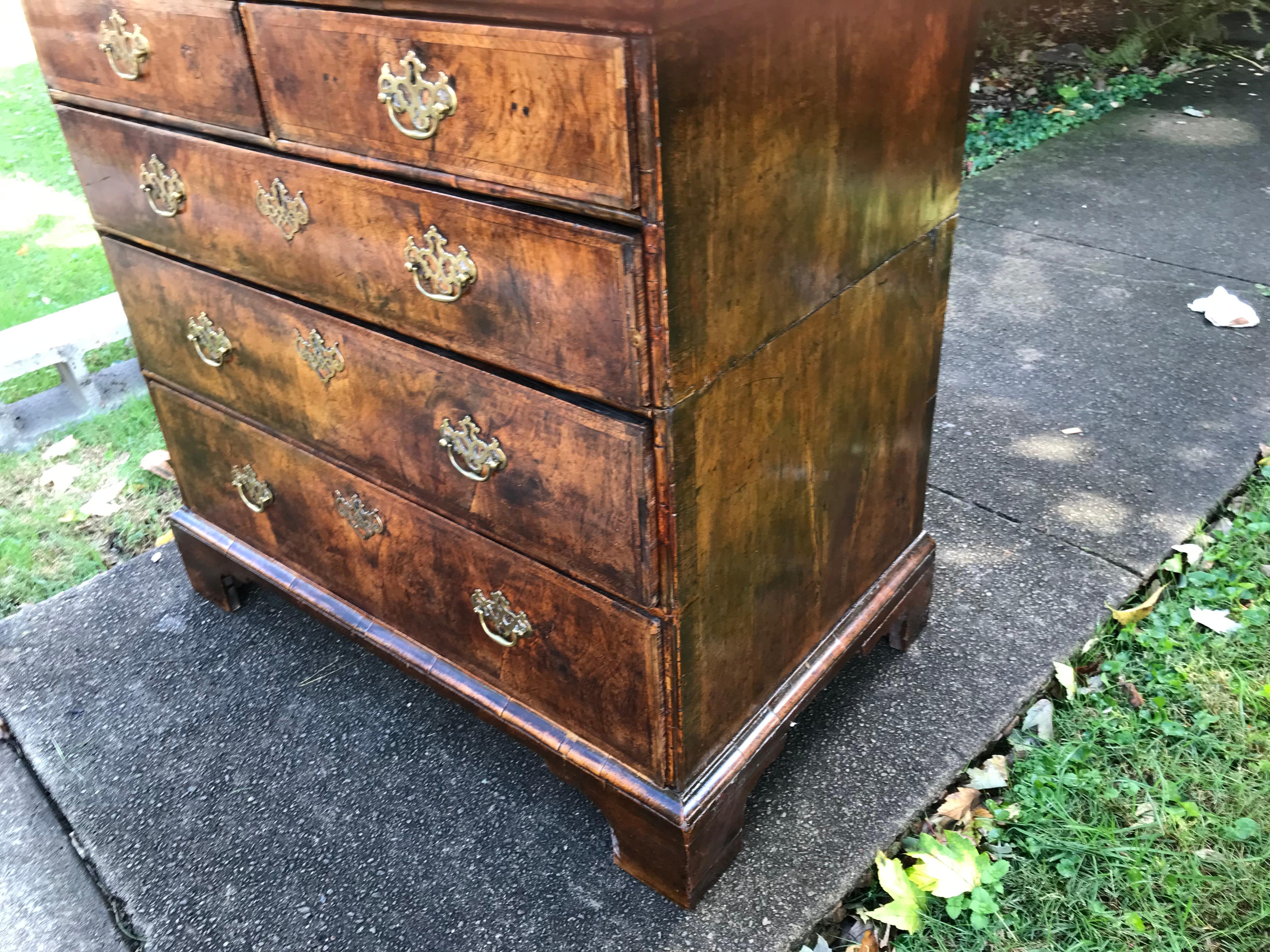 George II Burl Walnut Chest with Two Short Over Three Long Drawers 2