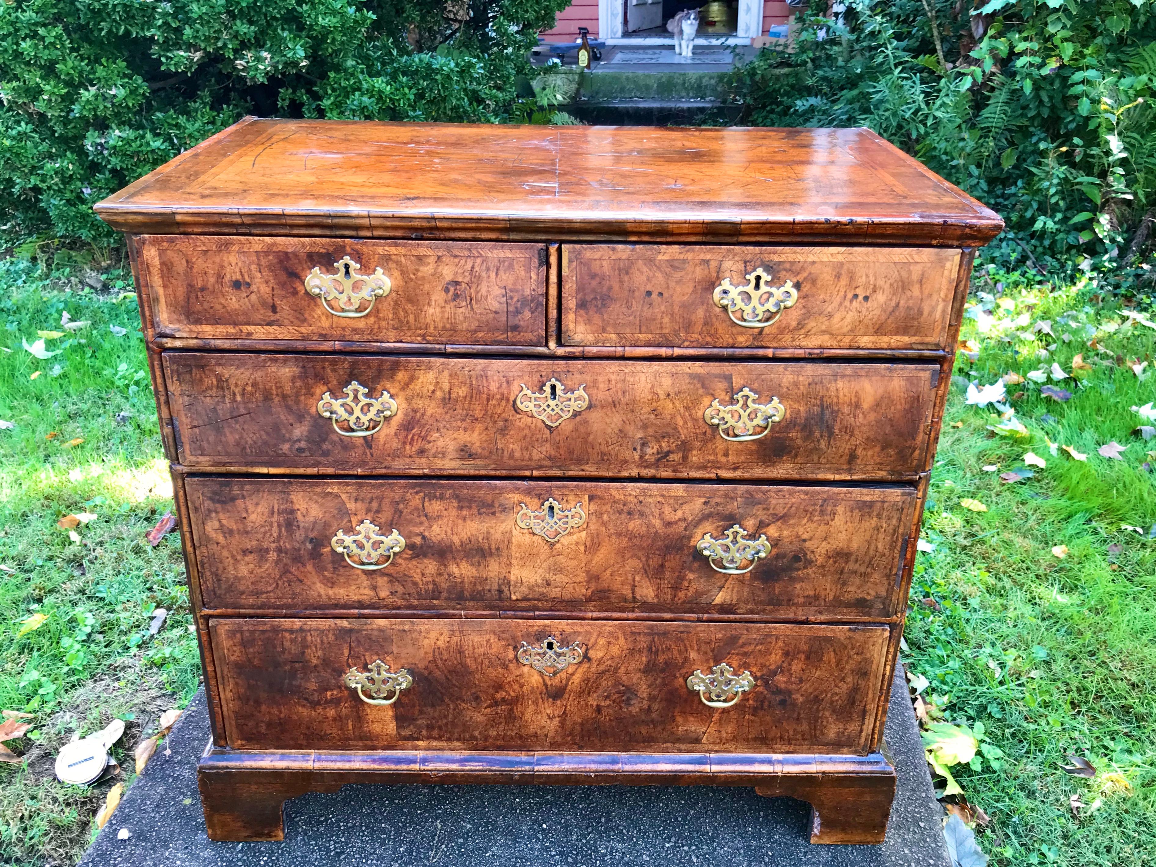 George II Burl Walnut Chest with Two Short Over Three Long Drawers 5