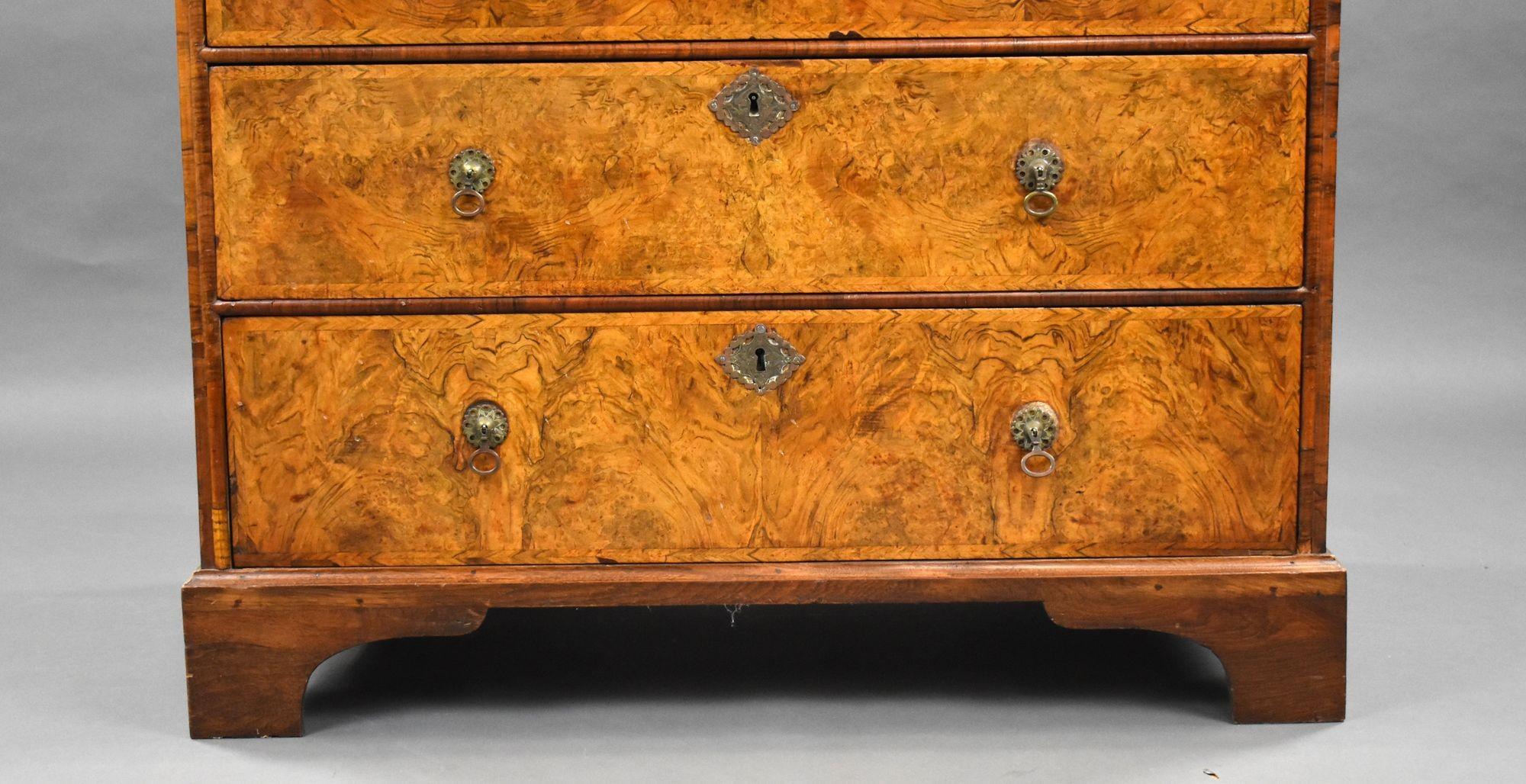 George II Burr Walnut Chest of Drawers For Sale 2