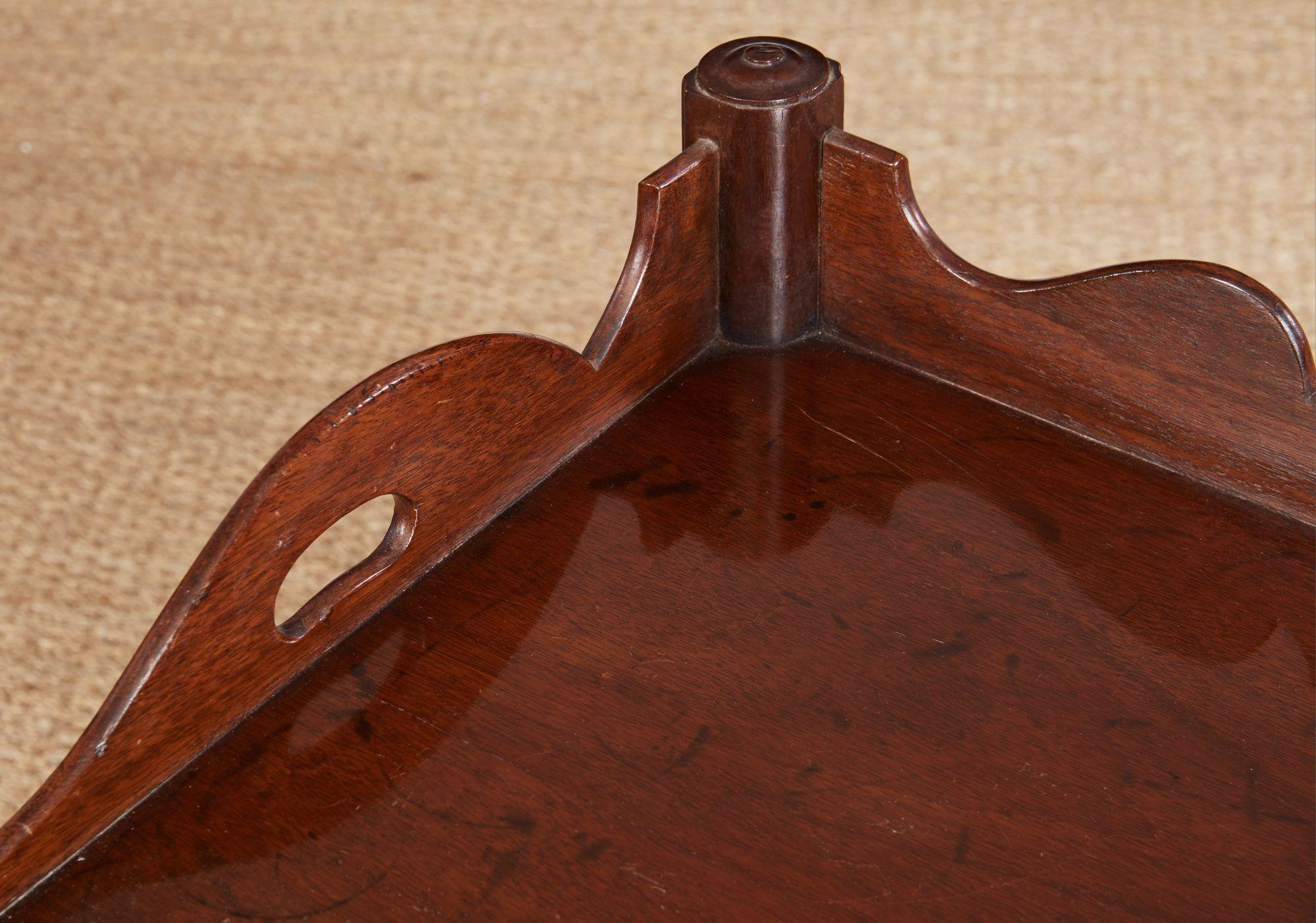 George II Mahogany Bedside Cupboard For Sale 8