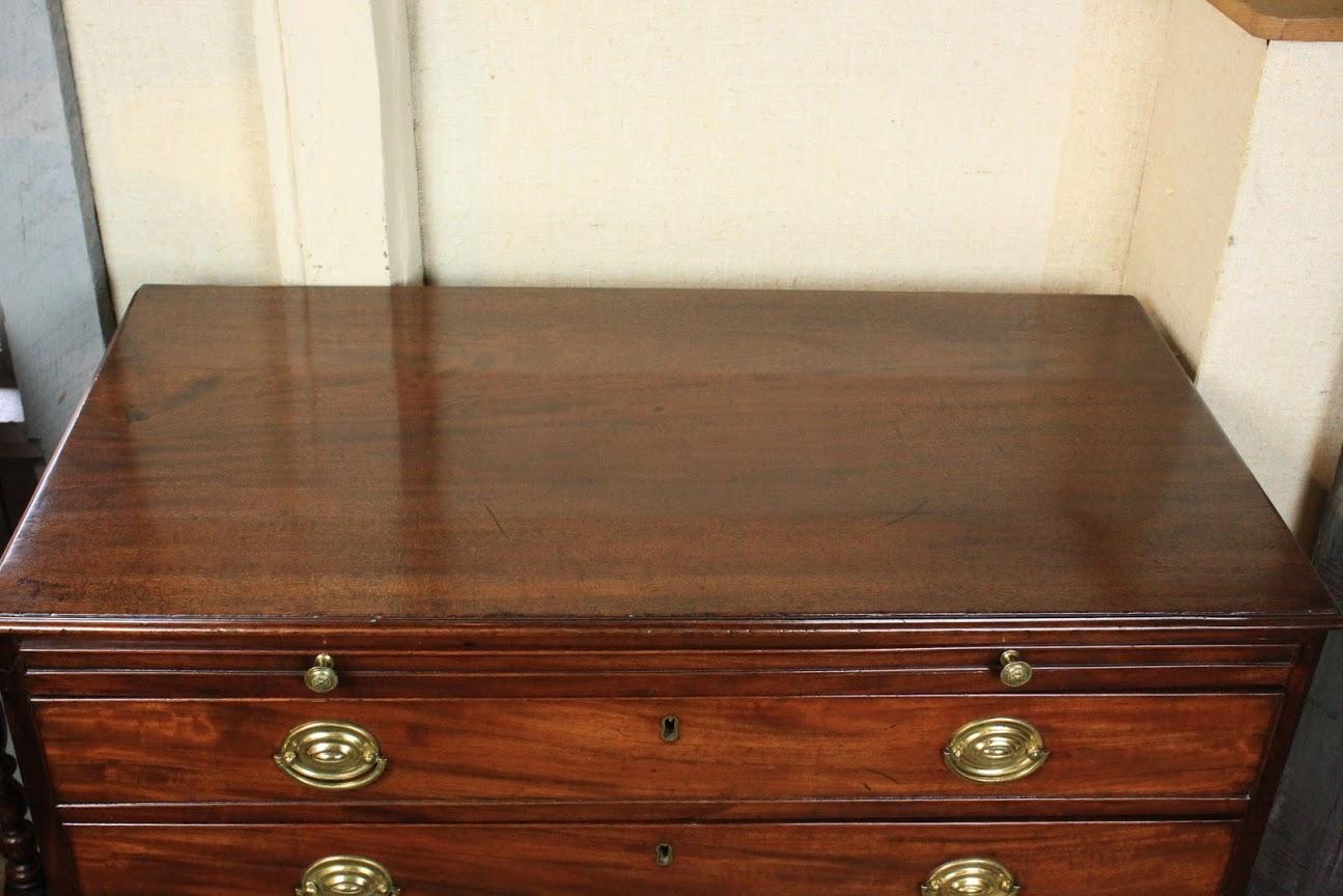 George III Bachelor's Chest of Drawers with Bushing Slide For Sale 6