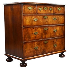 Antique George III Burr Walnut Chest of Drawers
