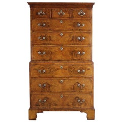 George III, English Chest on Chest in Burr Walnut George III, English Chest on Chest in Burr Walnut