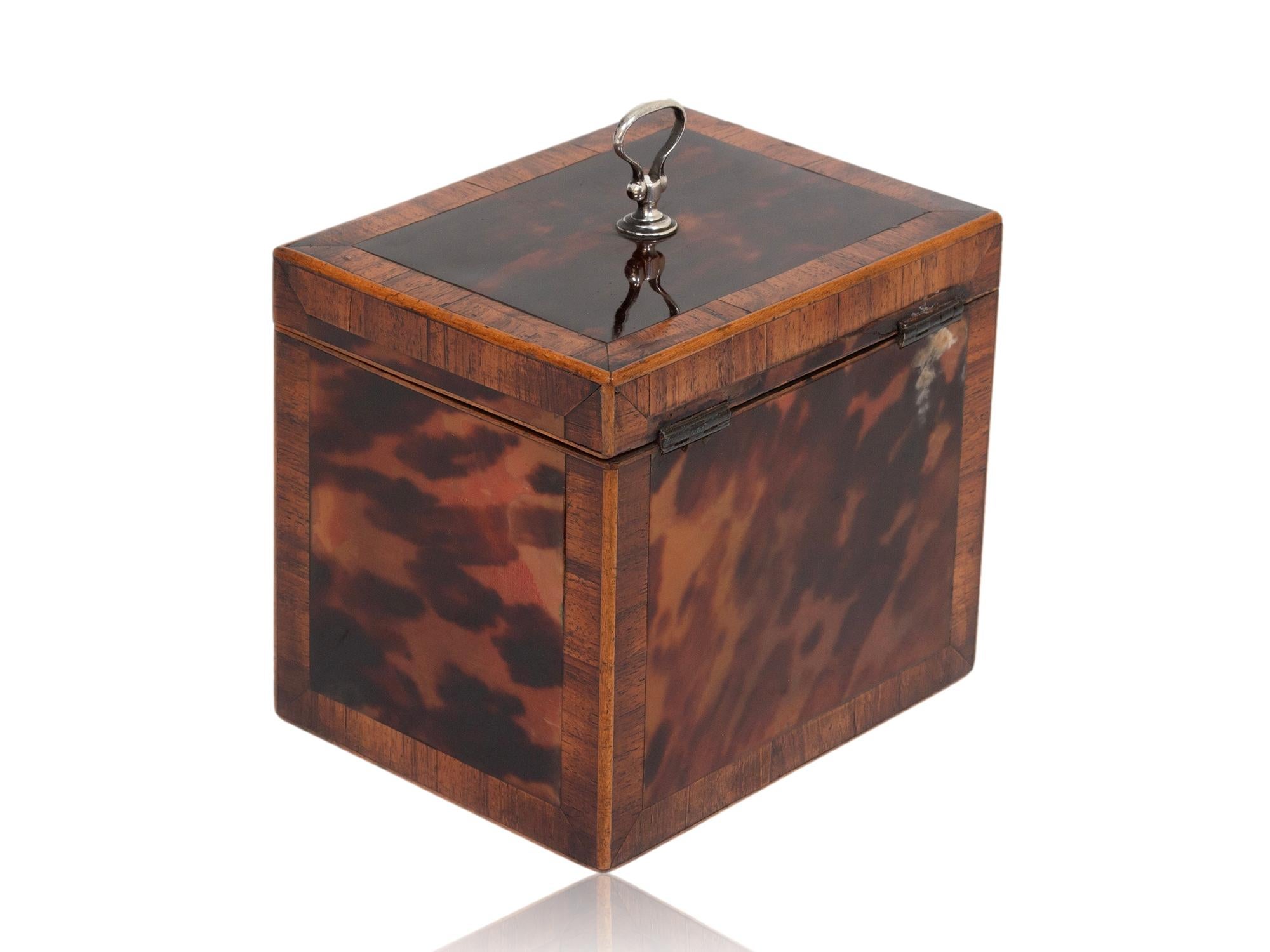 Hand-Carved George III English Red Tortoiseshell Tea Caddy For Sale