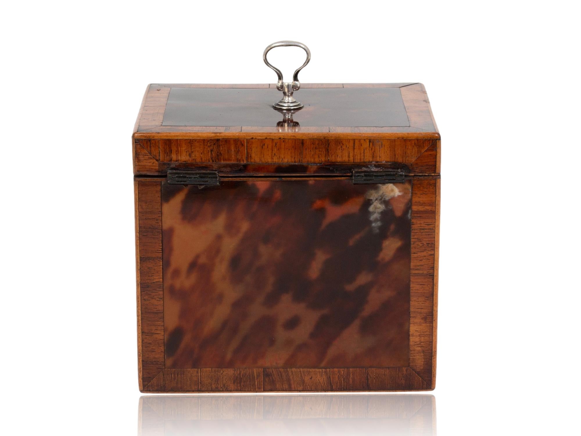 Shell George III English Red Tortoiseshell Tea Caddy For Sale