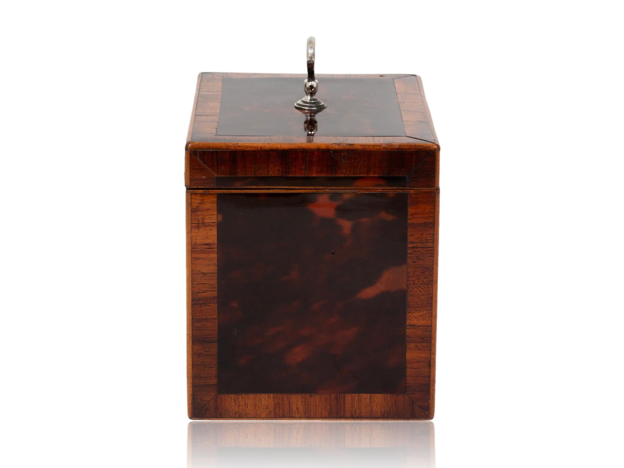 George III English Red Tortoiseshell Tea Caddy For Sale 1
