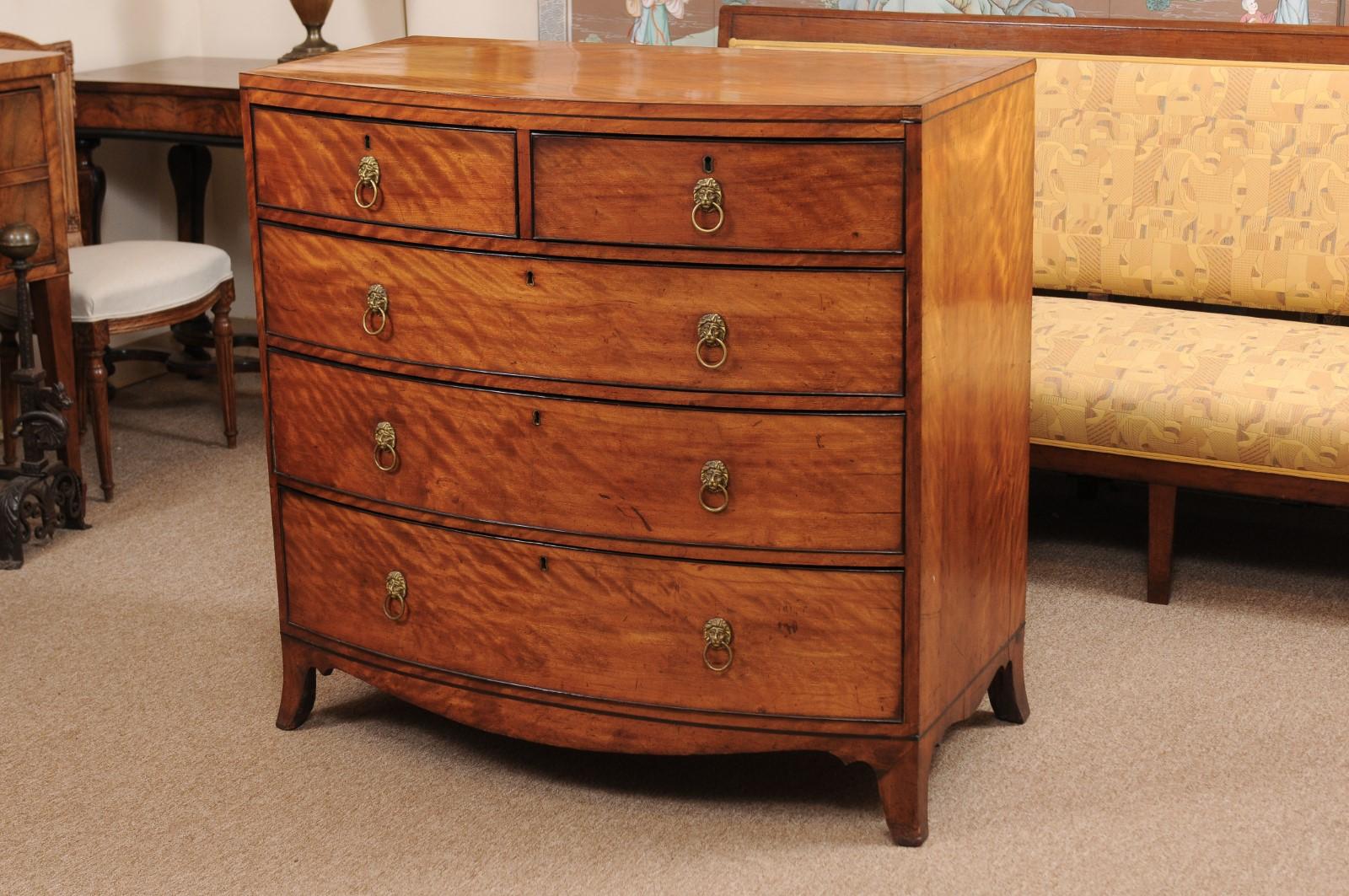 George III English Satin Wood Bow Front Chest, Early 19th Century 11