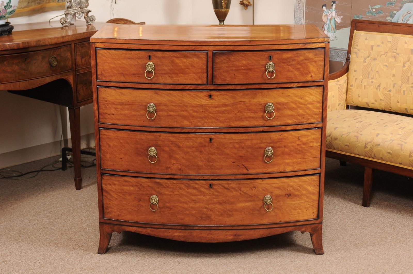 A George III satinwood bow-front chest with 2 top short drawers and 3 graduating long drawers below. The drawers with brass lion head pulls ending in spayed feet.

   