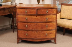 George III English Satin Wood Bow Front Chest, Early 19th Century
