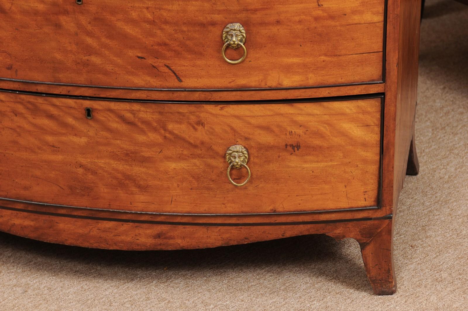 Satinwood George III English Satin Wood Bow Front Chest, Early 19th Century