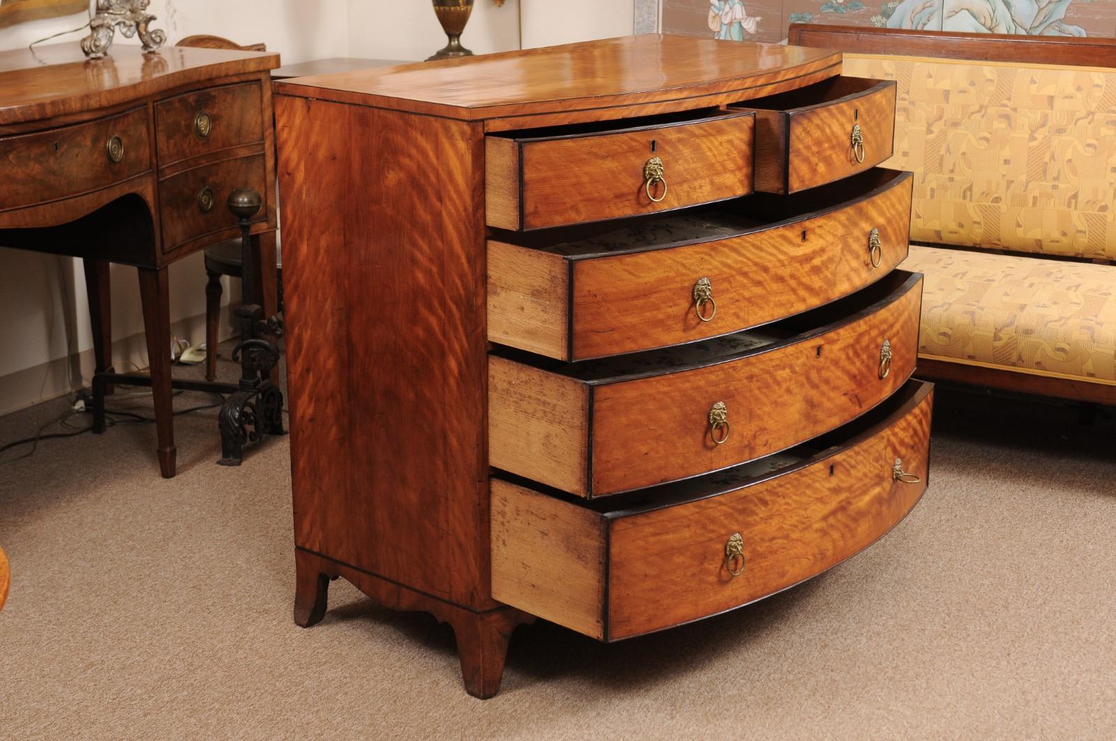 George III English Satin Wood Bow Front Chest, Early 19th Century 4