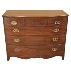 Boxwood Commodes and Chests of Drawers