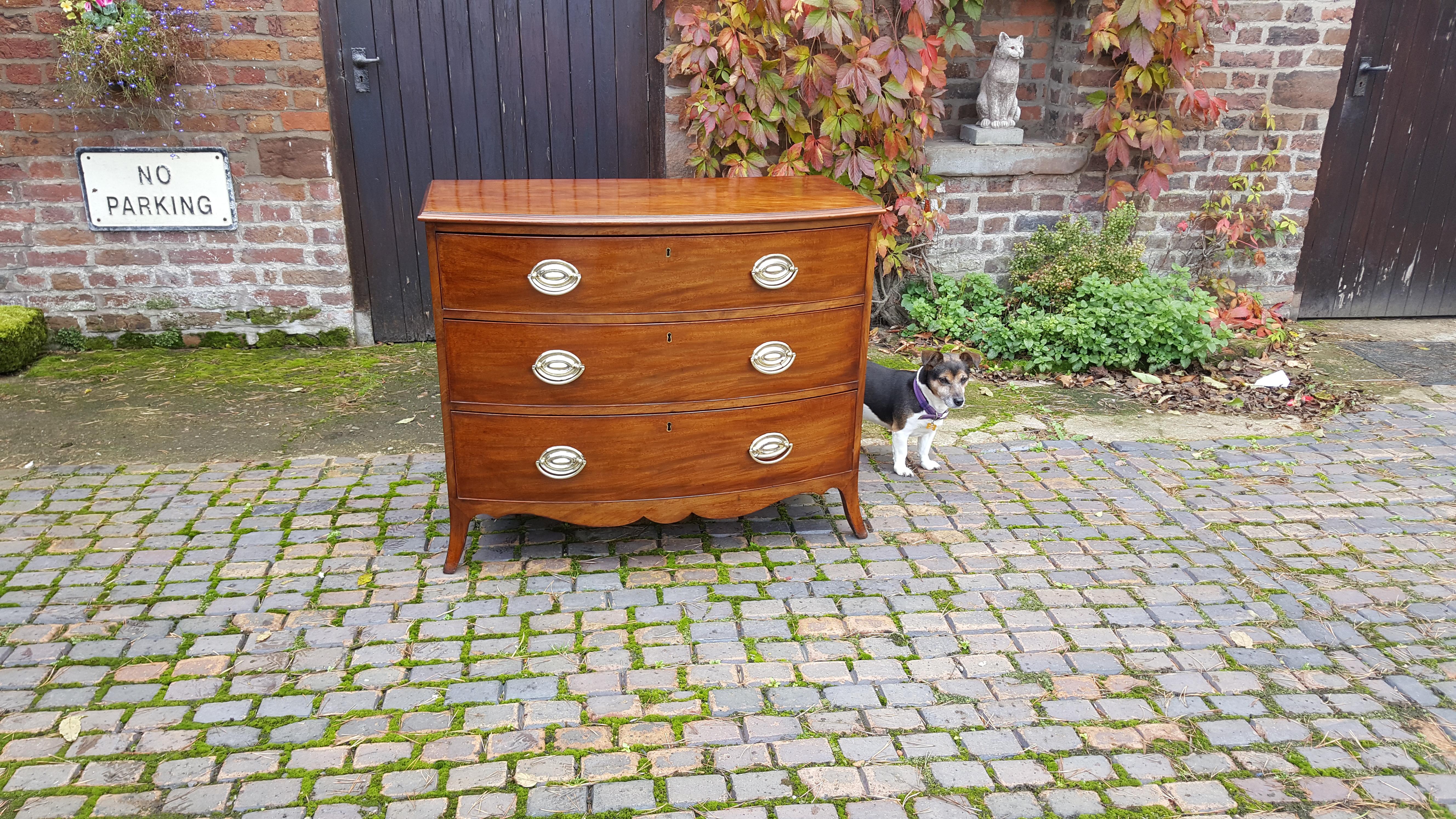 A late George III mahogany bow fronted three drawer chest of drawers, with shaped apron and raised on splayed bracket feet, 40